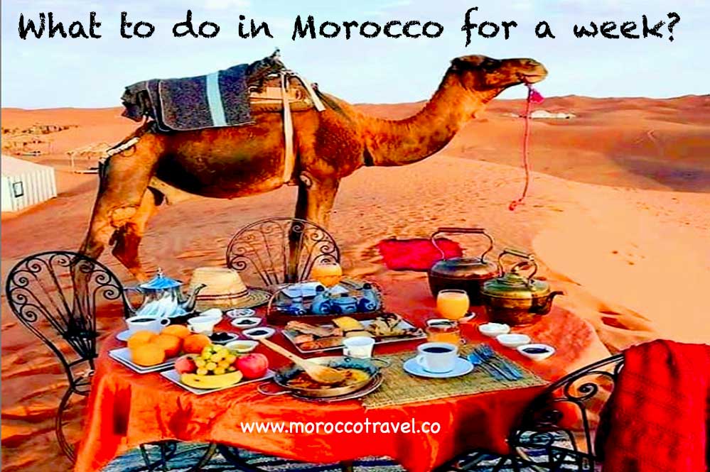 what-to-do-in-Morocco-for-a-week-5