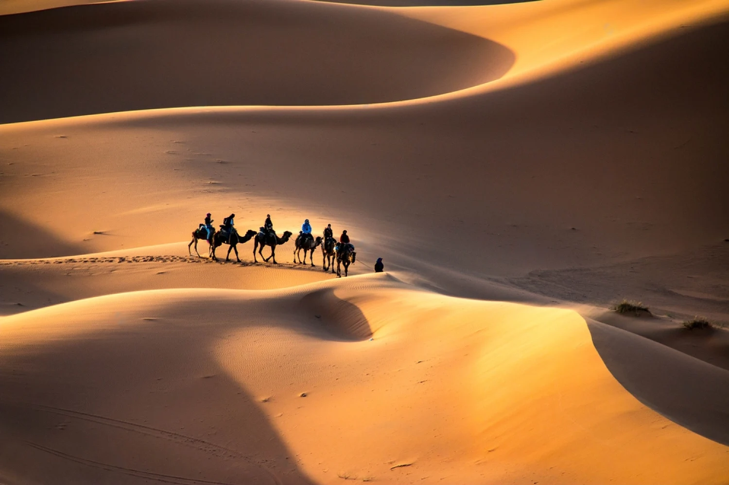 Day 3: Merzouga desert tour and the Camel ride
