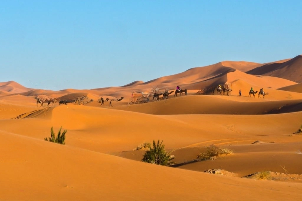Day 7: Tour of The Dunes, visiting Nomad Families in Merzouga desert