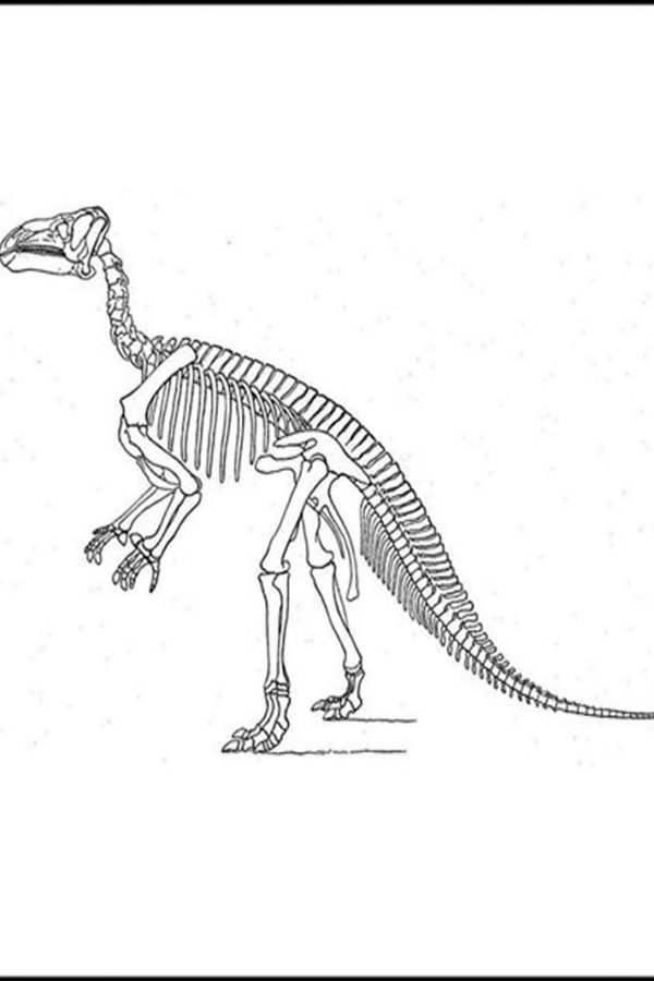 Traces-iguanodon Traces-iguanodon