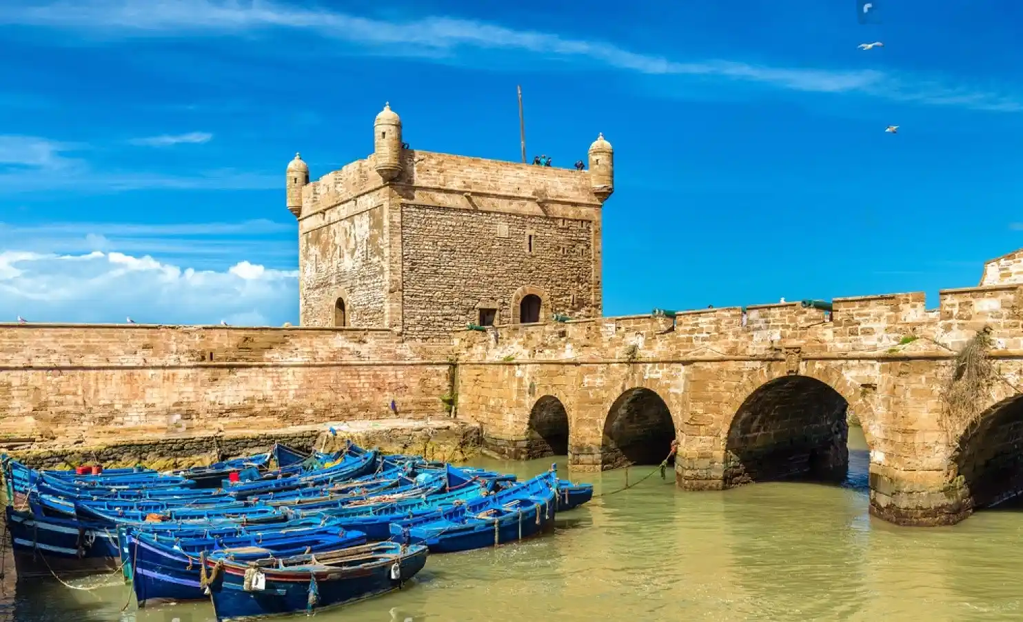 Best-All-Inclusive-Trips-to-Morocco-Essaouira.webp