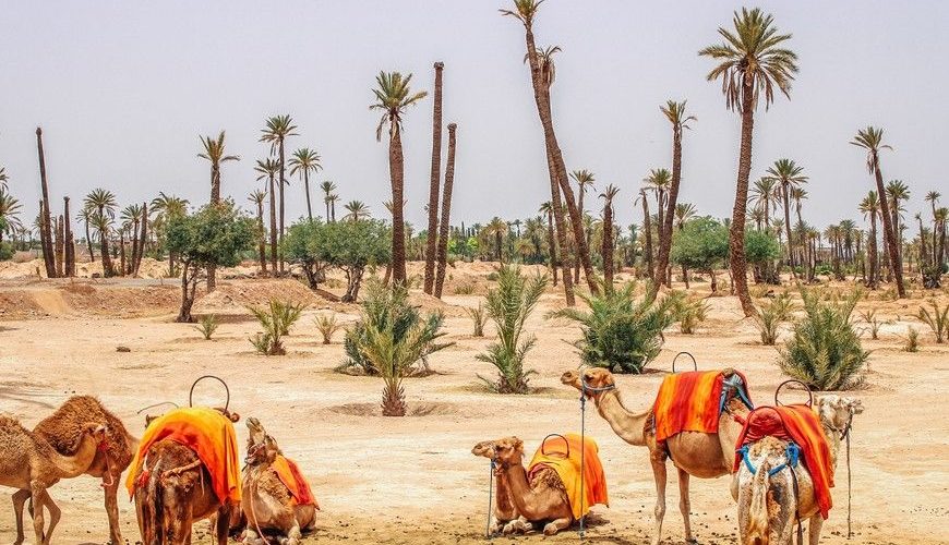 Best Morocco Desert Tours from Casablanca