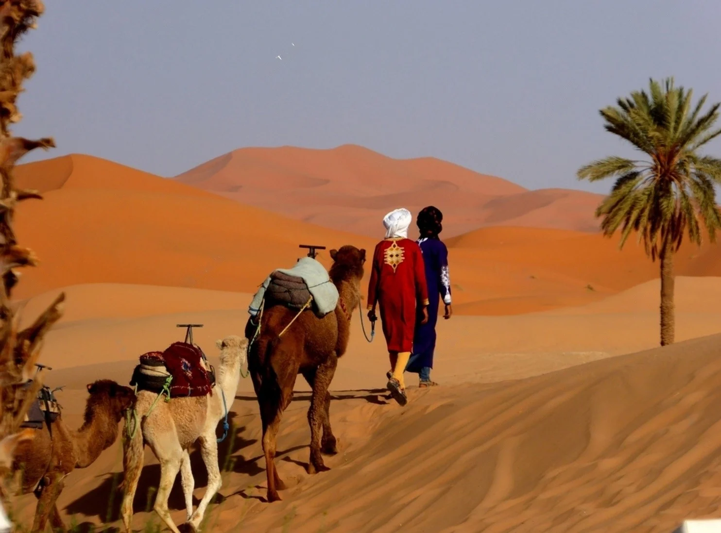 Best-Morocco-Desert-Tours-from-Casablanca.webp