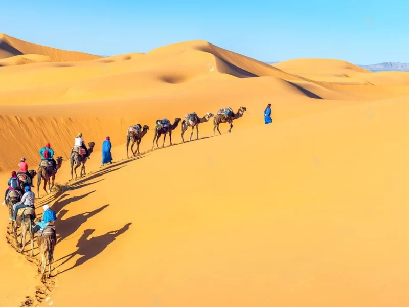 Best Morocco travel and Tours