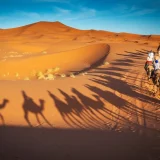 Where-to-Ride-Camels-in-Morocco.webp