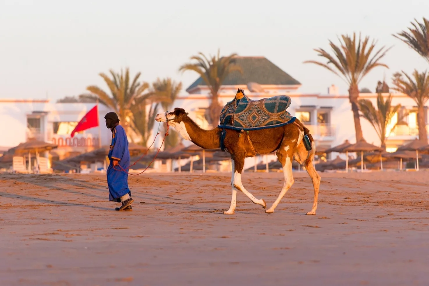 Where-to-Ride-Camels-in-Morocco-Agadir.webp