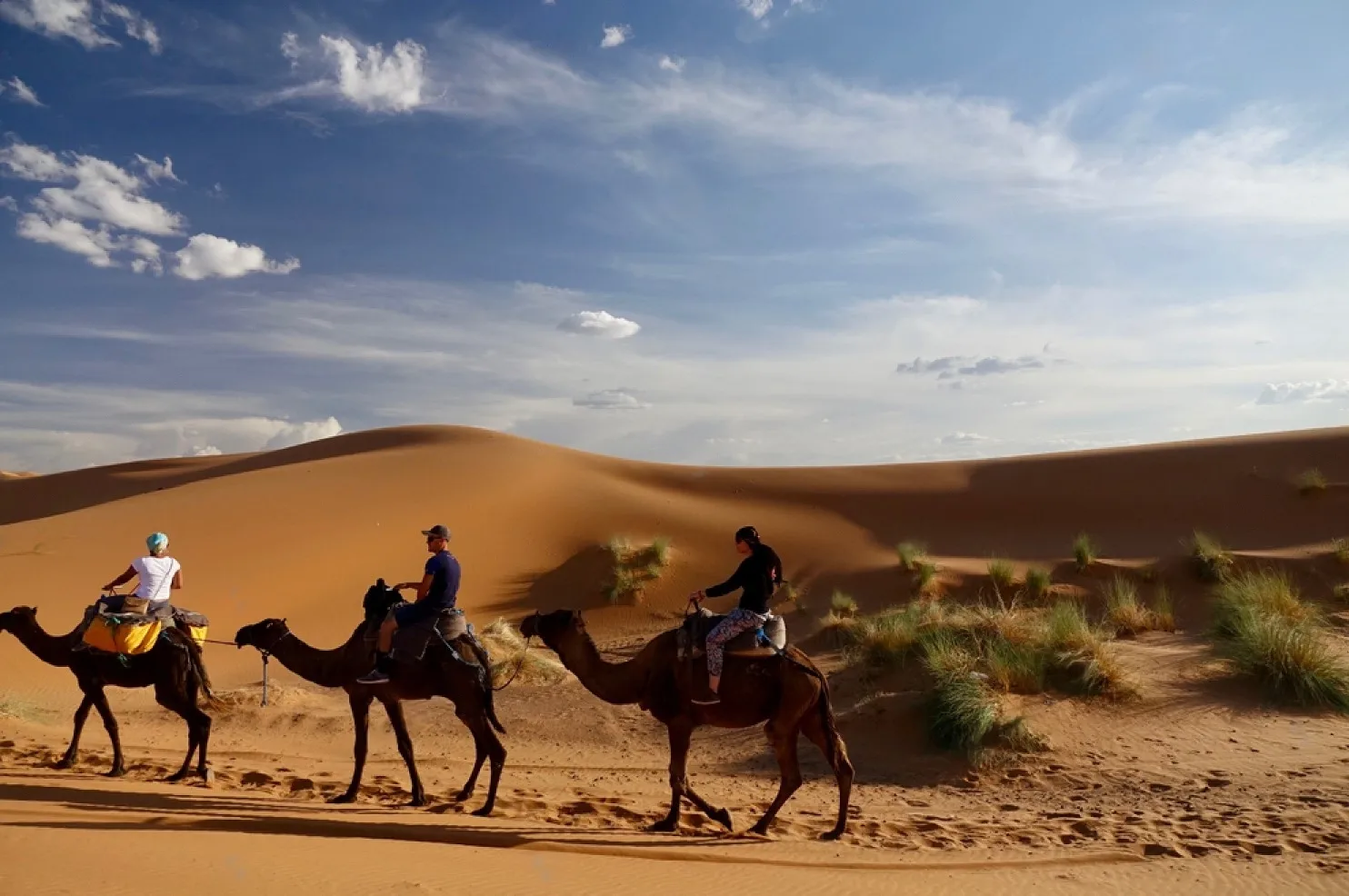 Where-to-Ride-Camels-in-Morocco-Chegaga.webp