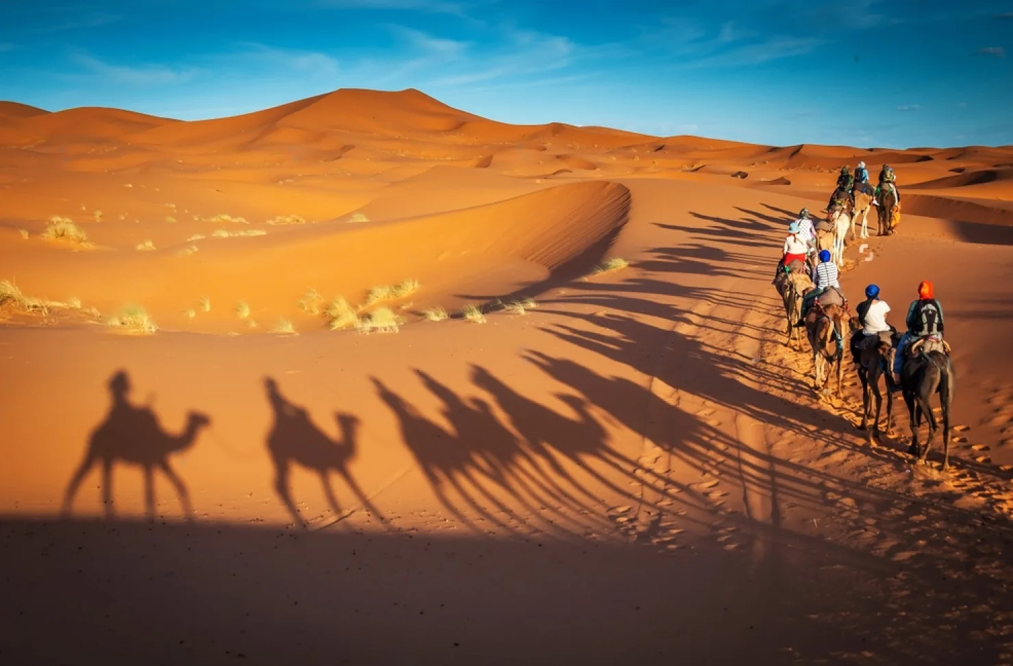 Where-to-Ride-Camels-in-Morocco.webp