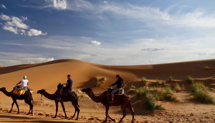 Where to ride camels in Morocco Main pic.jpg