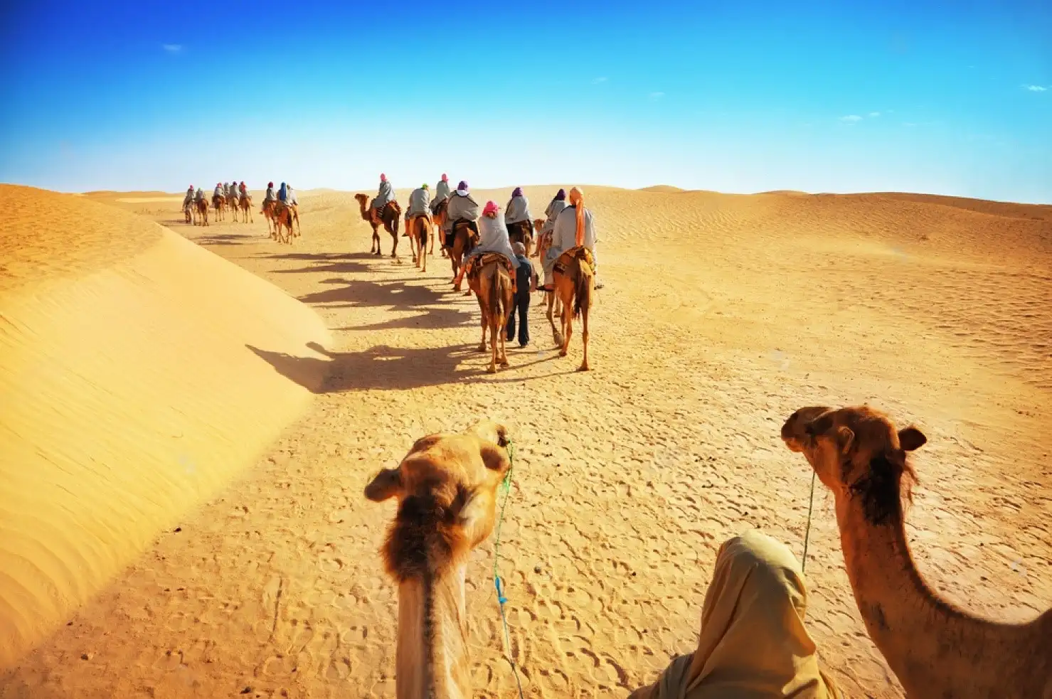 Things-to-do-in-Marrakech-with-Family-Camel-ride-in-sahara-desert.webp