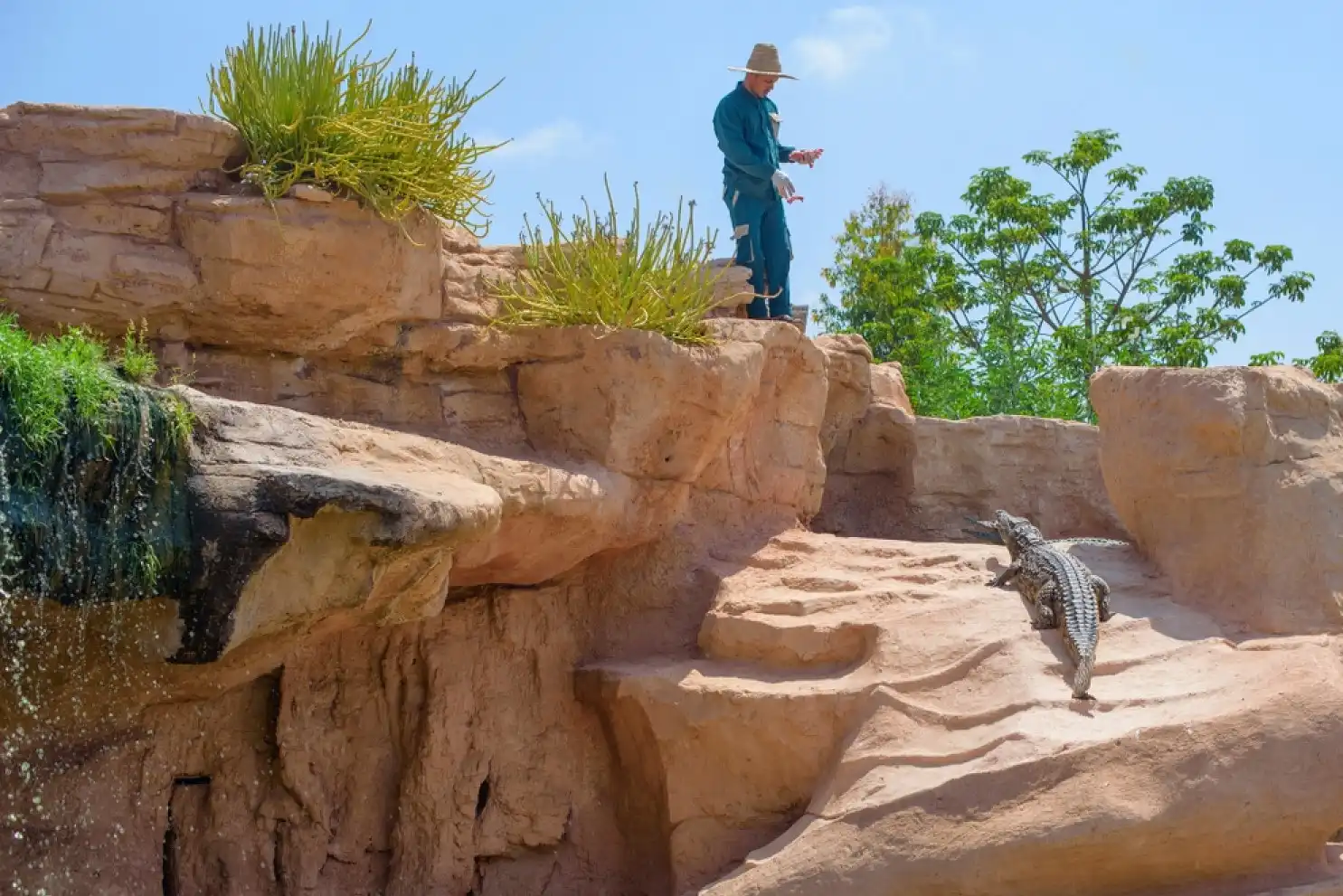 Where-to-Stay-in-Morocco-with-Family-Agadir-Crocodile-park.webp