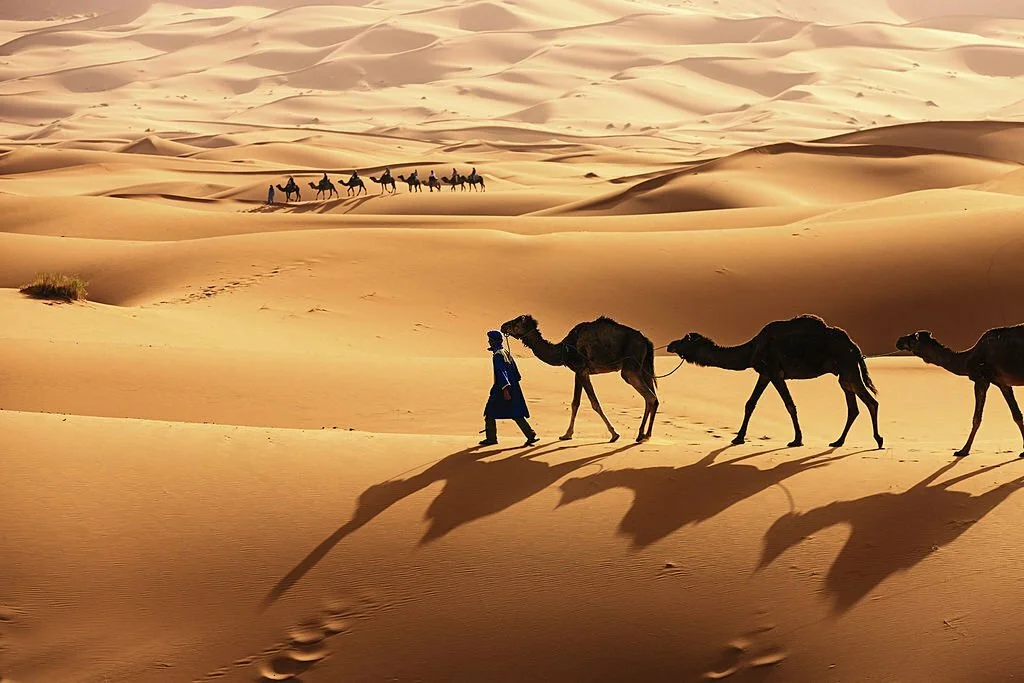 Day 4: Boumaln Dades to Merzouga (camel and nomadic life experience)