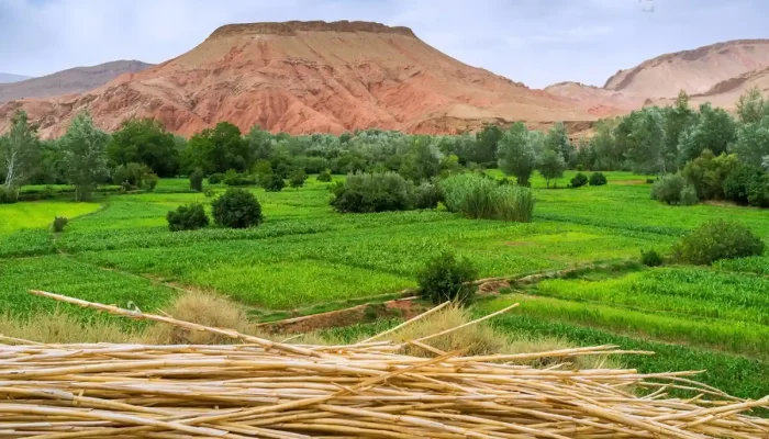 6_days_tour_from_marrakech_to_Fes_Day_2_Boumalne_Dades-