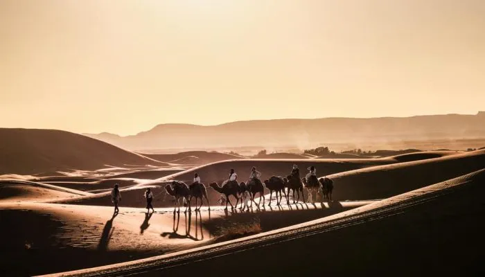 morocco-itinerary-7-days-from-casablanca (8)