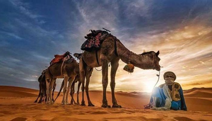 4 Days Tour from Marrakech to Fes (4)