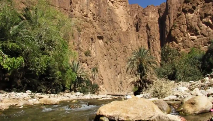7-days-tour-from-Marrakech-Day-2-Todra-gorges