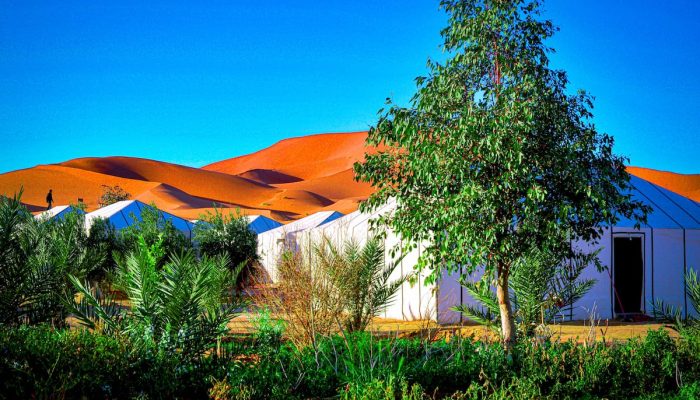 8 Days tour from Marrakech Desert & imperial cities (10)