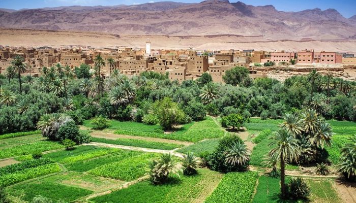 One Week in Morocco Itinerary (6)