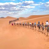 Dunes dorées du désert du Sahara sous un ciel clair
