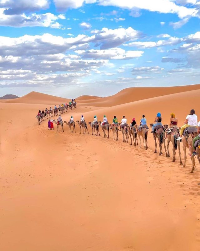 Dunes dorées du désert du Sahara sous un ciel clair