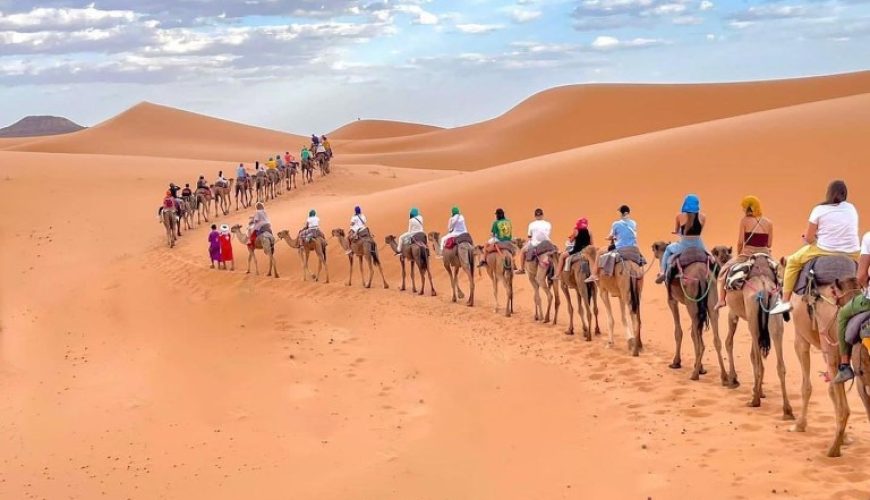 Dunes dorées du désert du Sahara sous un ciel clair