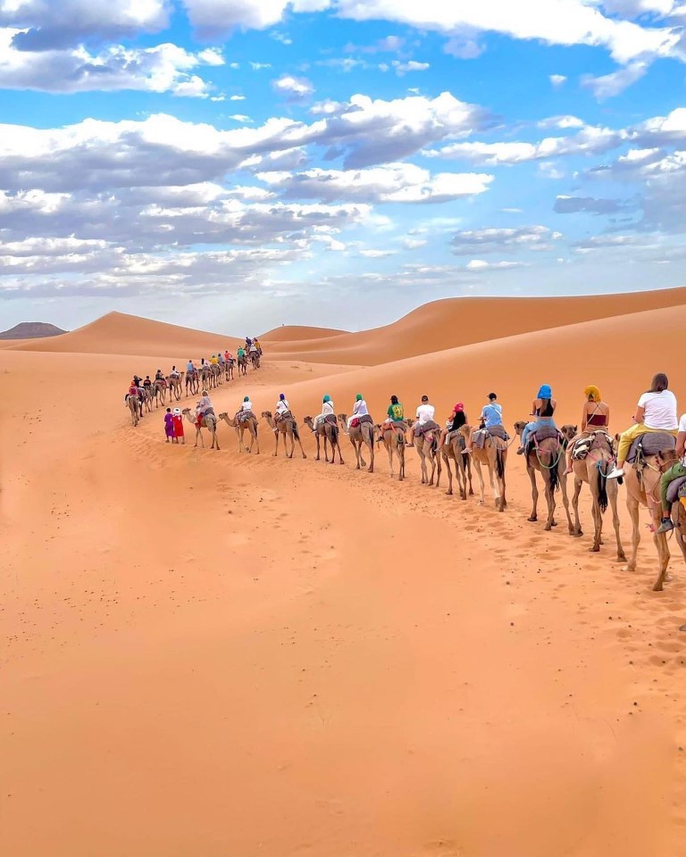 Dunes dorées du désert du Sahara sous un ciel clair