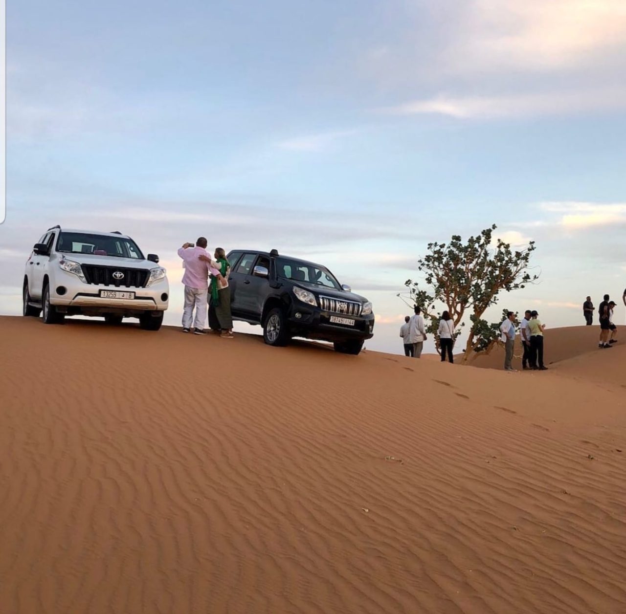 Camel trekking in the Sahara during the 14 Days Tour from Casablanca Summer Tour