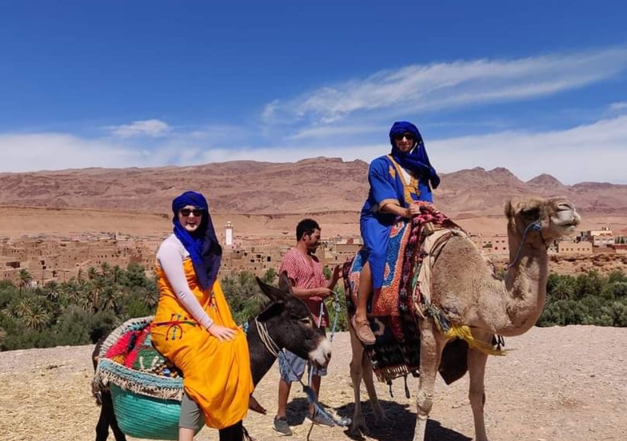 Camel trekking in the Sahara during the 14 Days Tour from Casablanca Summer Tour