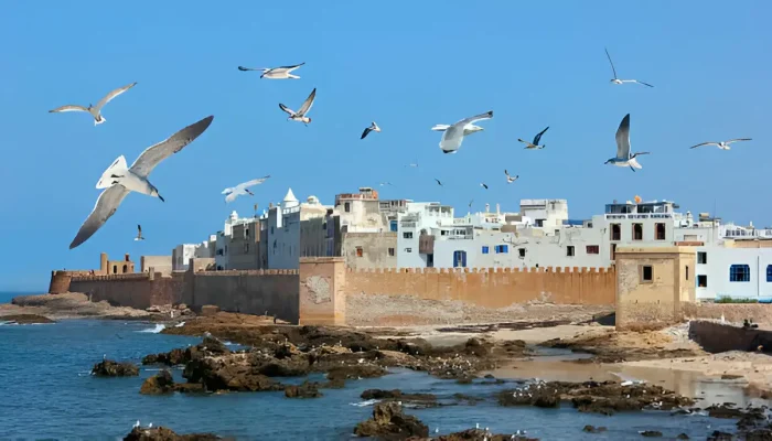 15 days Morocco summer tour essaouira