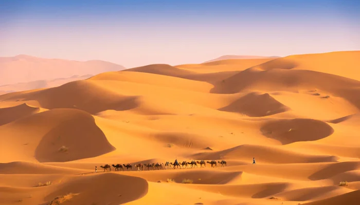14 days tour from Marrakech sahara desert