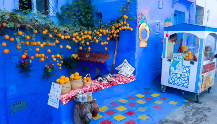Premium Morocco VIP TOURS