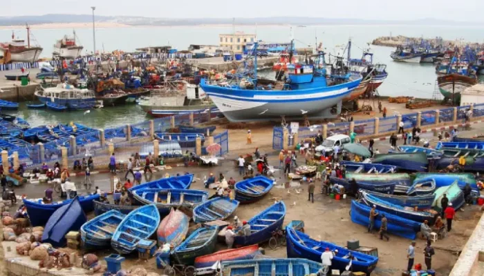 VIP Morocco Tour Essaouira