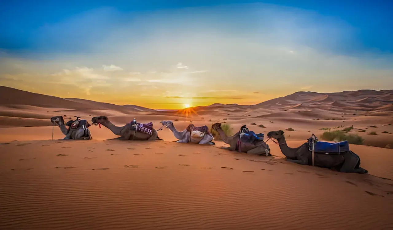 6 Days Desert Tour from Marrakech Merzouga