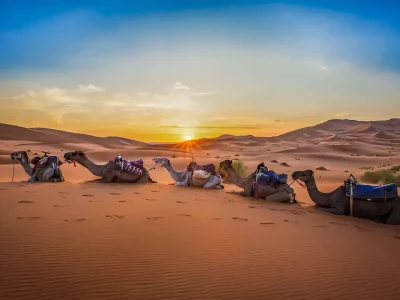 6 Days Desert Tour from Marrakech Merzouga