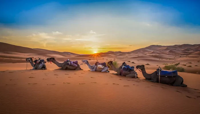6 Days Desert Tour from Marrakech Merzouga