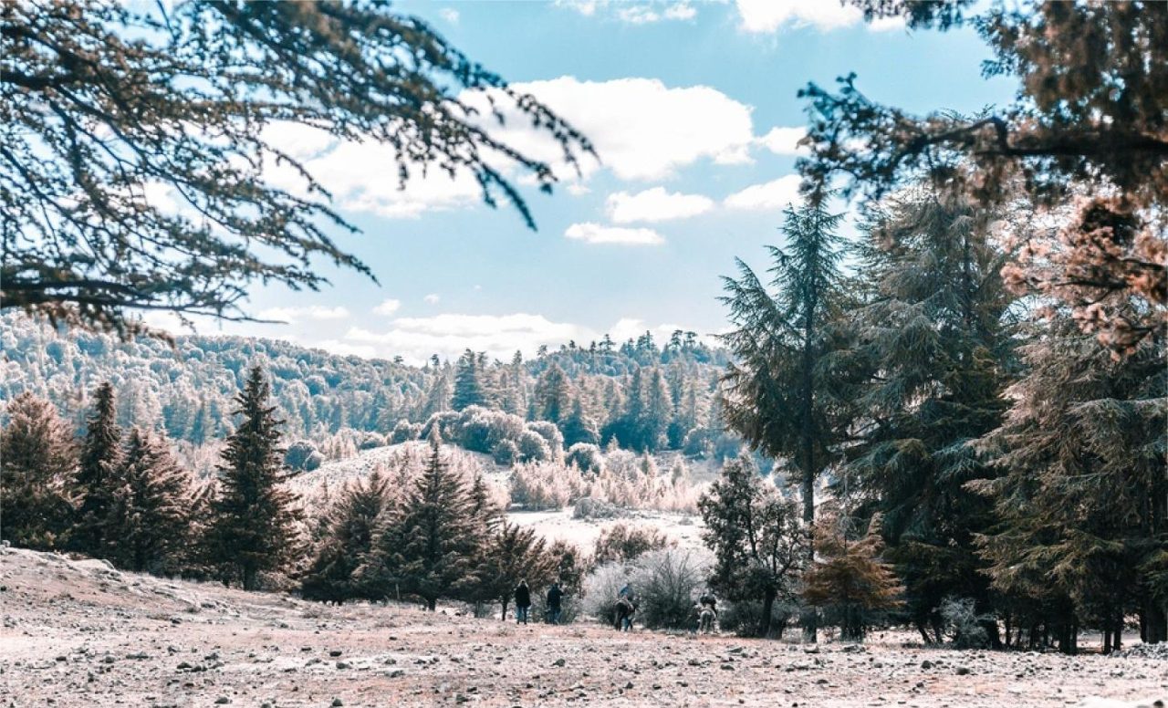 February weather in Morocco