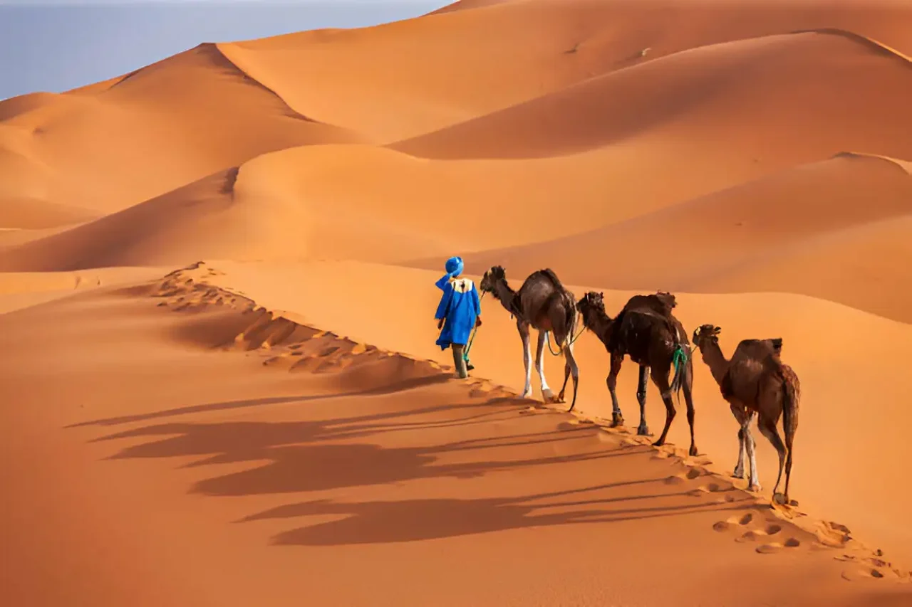 what to wear in Morocco in February sahara desert