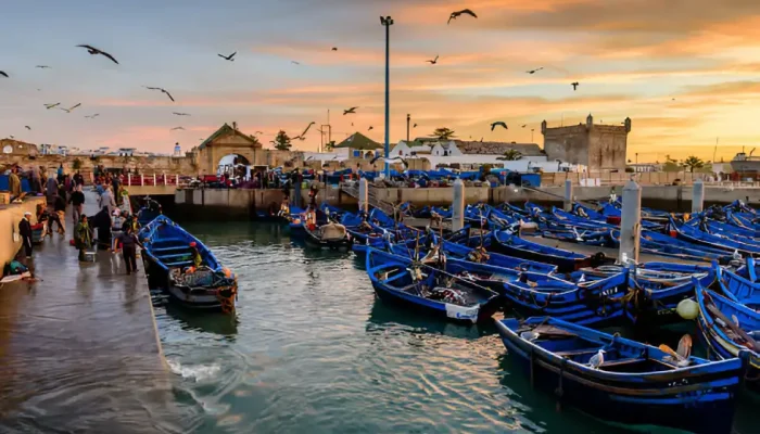 Best Places in Morocco for a Family Holiday essaouira