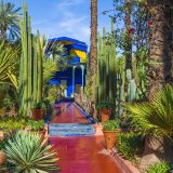 Famille explorant le Jardin Majorelle à Marrakech