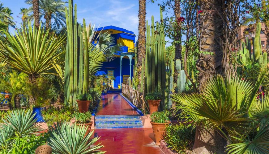 Famille explorant le Jardin Majorelle à Marrakech