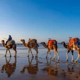 Summer Holidays to Morocco