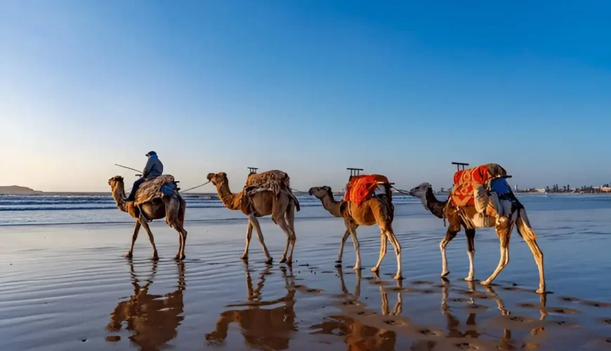 Summer Holidays to Morocco