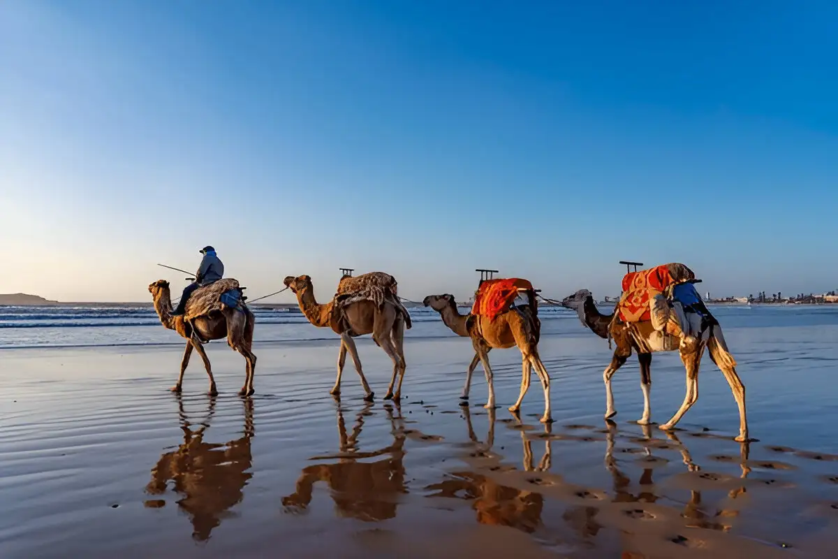 Summer Holidays to Morocco