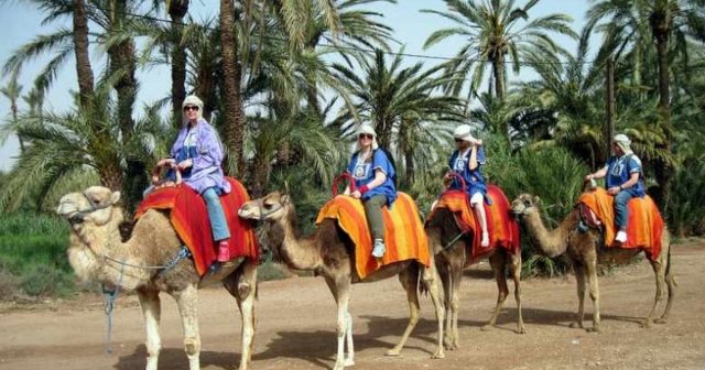 Kid-friendly camel ride attraction in Marrakech