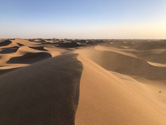Dunes majestueuses du désert du Sahara au coucher du soleil