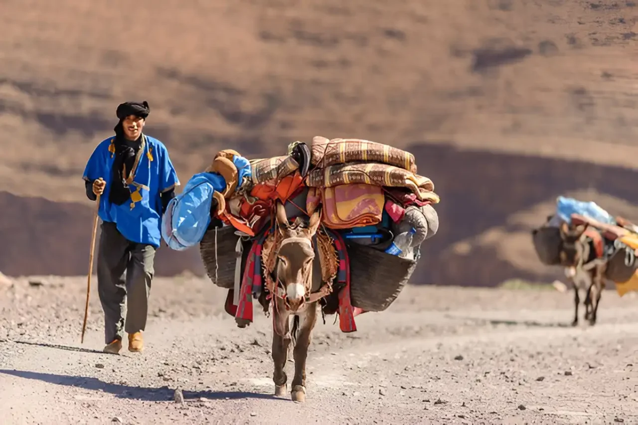 5 Days Tour from Marrakech Atlas