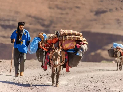5 Days Tour from Marrakech Atlas