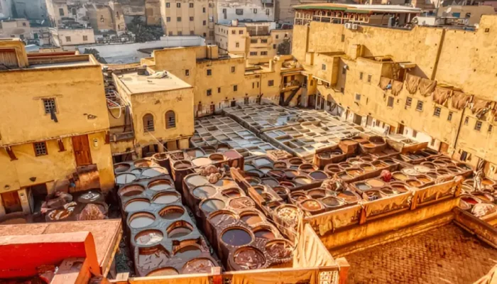 5 Days tour from Tangier Fes Medina